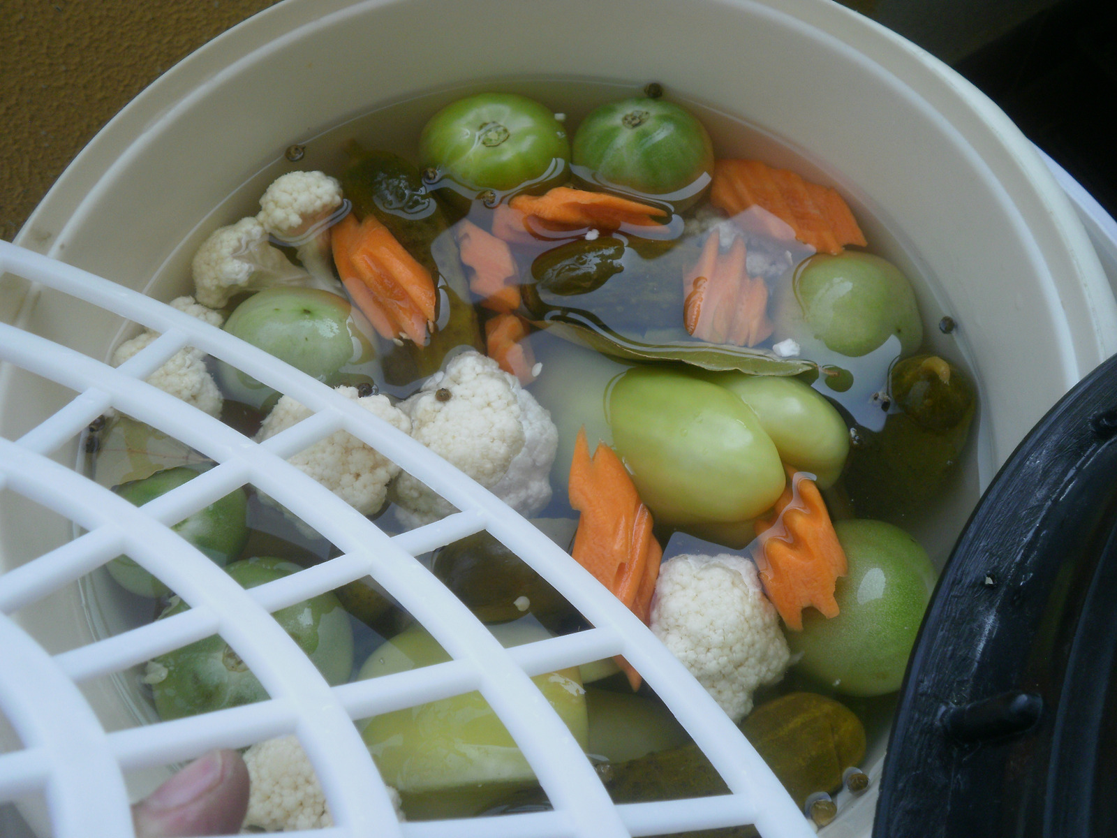 туршия в бидон