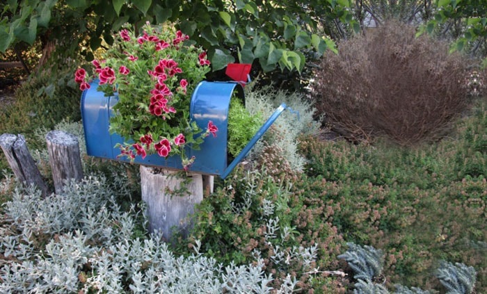 пощенска кутия с цветя