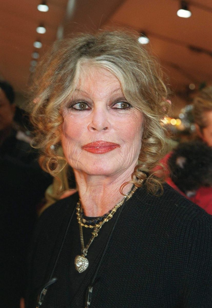 Бриджит Бардо биография