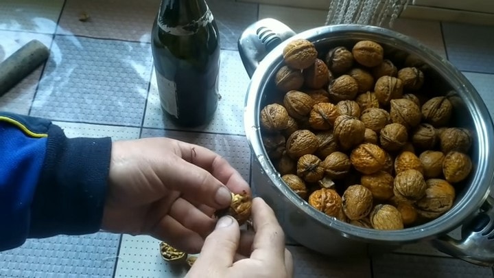 белене орехи