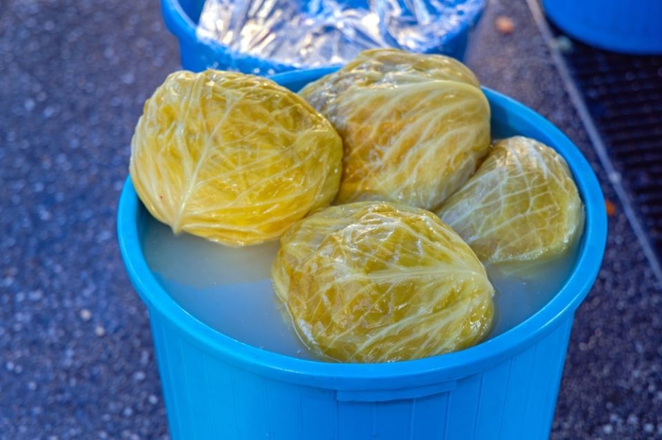 цяла кисела зелка