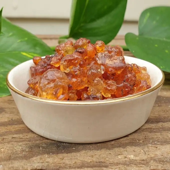peach gum cup