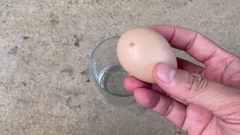 кокоше яйце