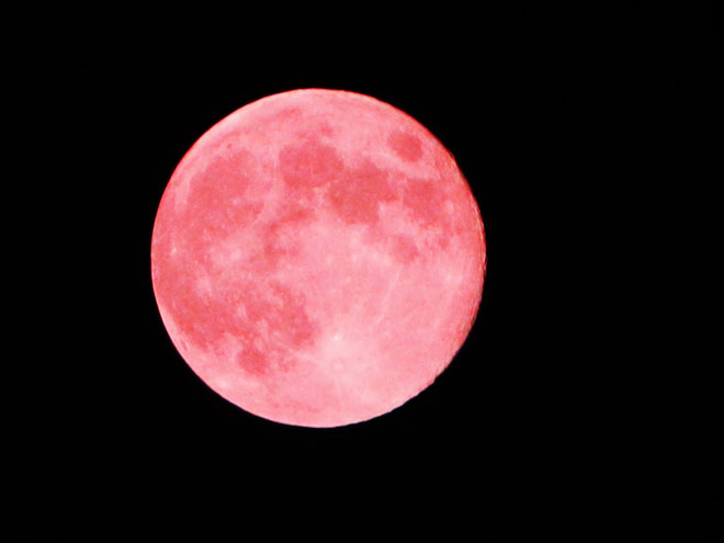 Розова Луна