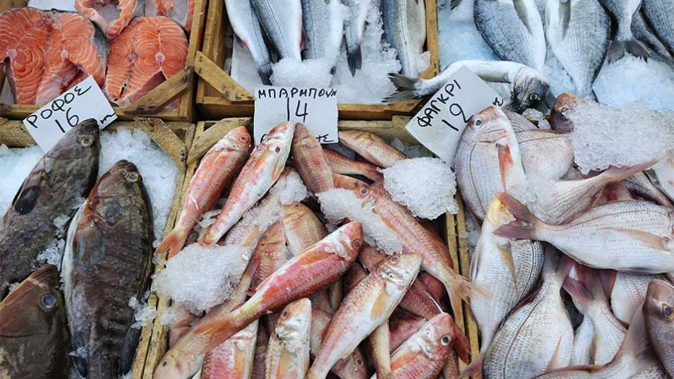цени риба