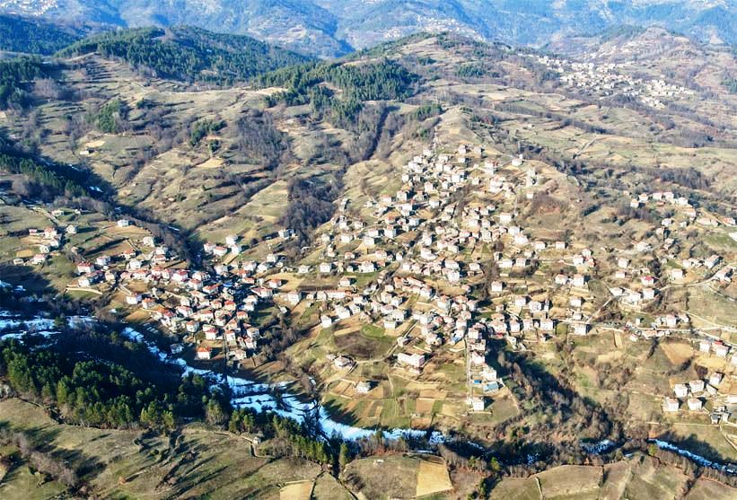село Жълтуша