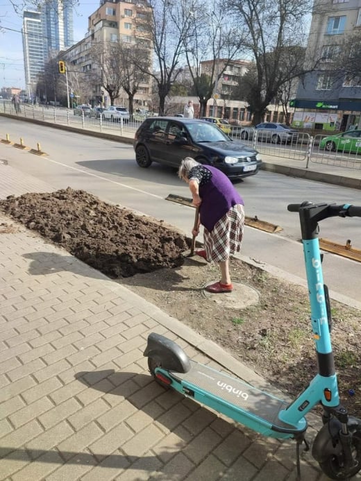 жена копае градинка