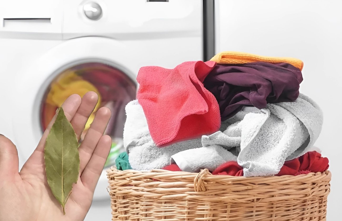 дафинов лист в прането