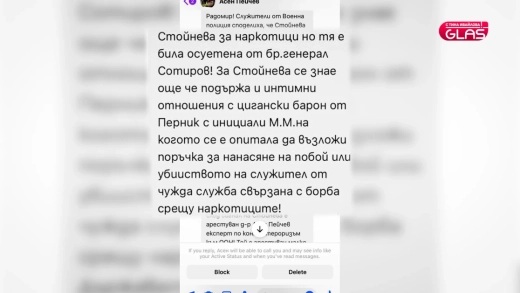 чатове Стойнева