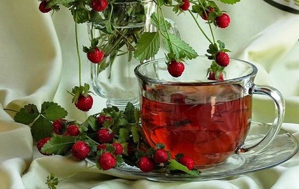чай от горски ягоди