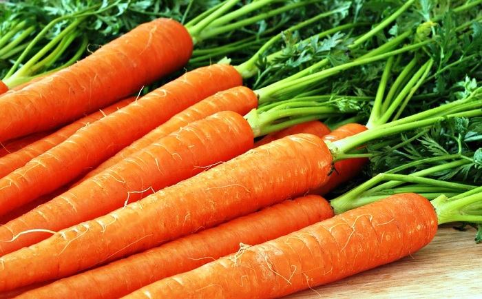 вредни свойства на морковите