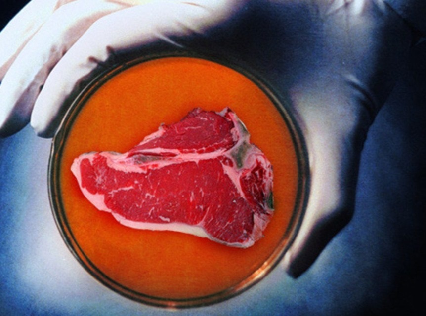 премахване на антибиотиците в месото