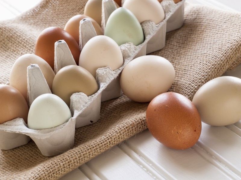 бели и кафяви яйца