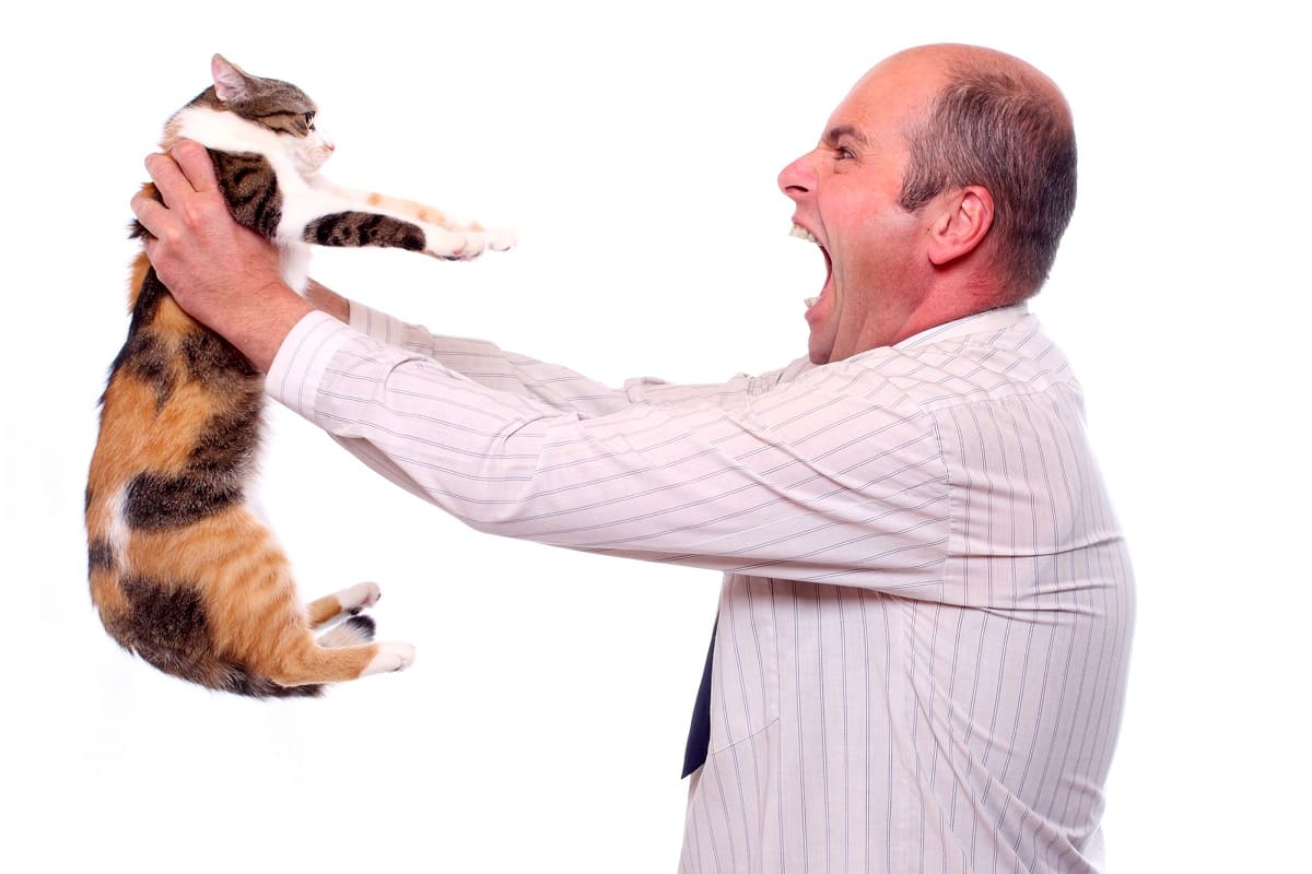  зодии злобен манталитет 