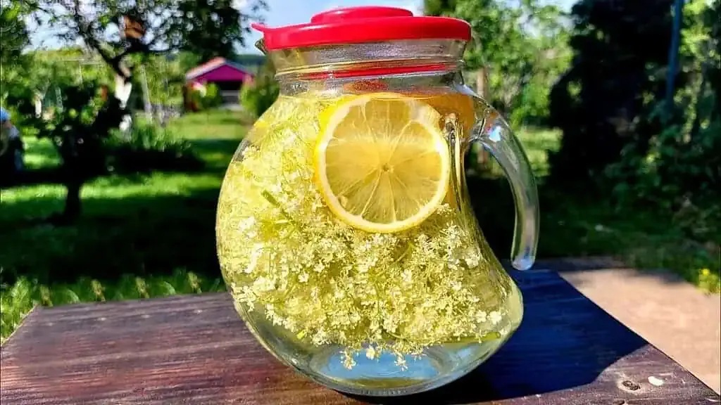 бъзова вода