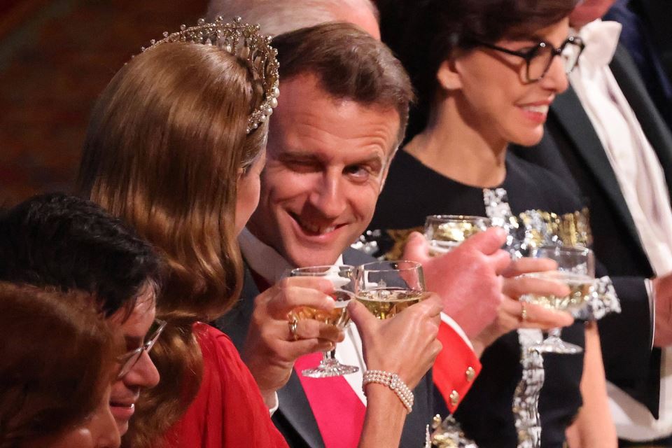 Еманюел Макрон намигане