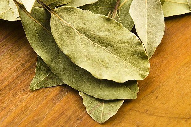 дафинов лист