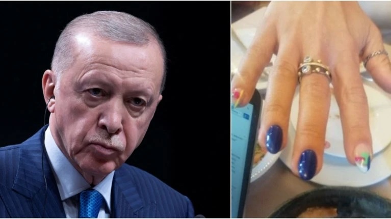 Ердоган маникюр журналистка