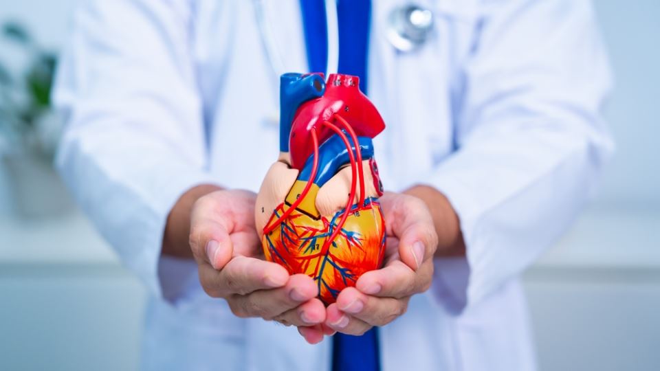 рискови фактори сърце