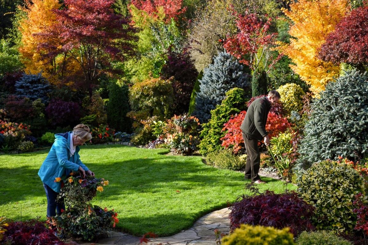 райска градина