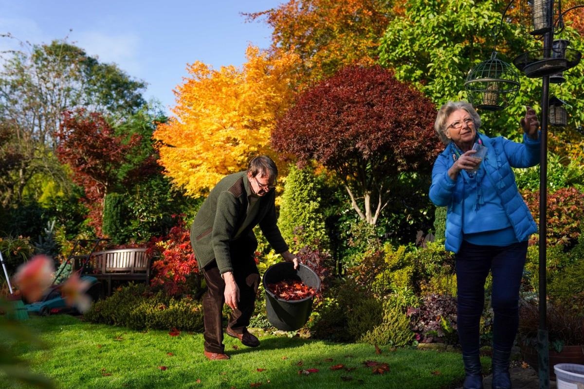 двойка градинари