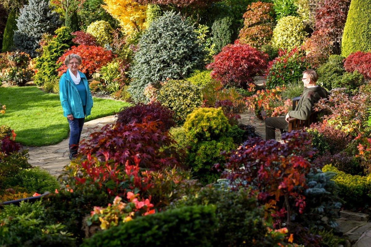 грижа за градината