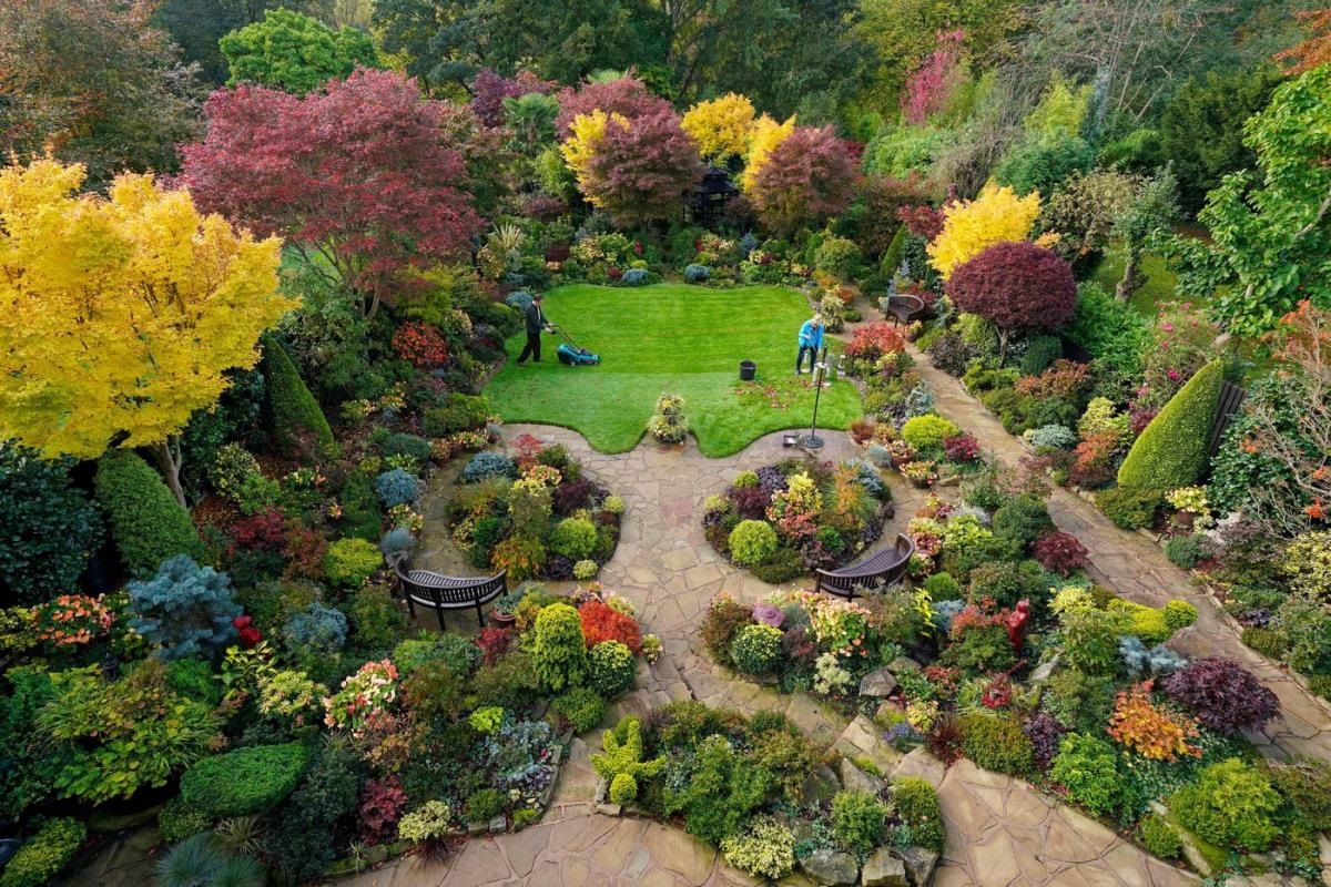 пъстра градина