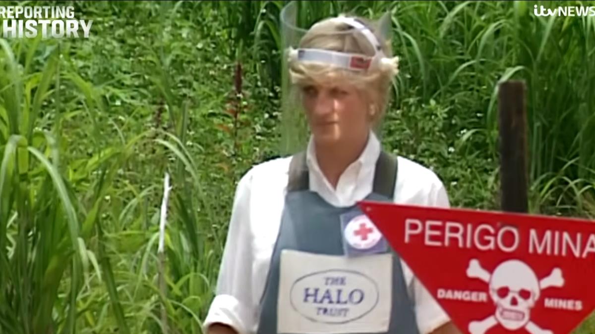 ДАяна Ангола