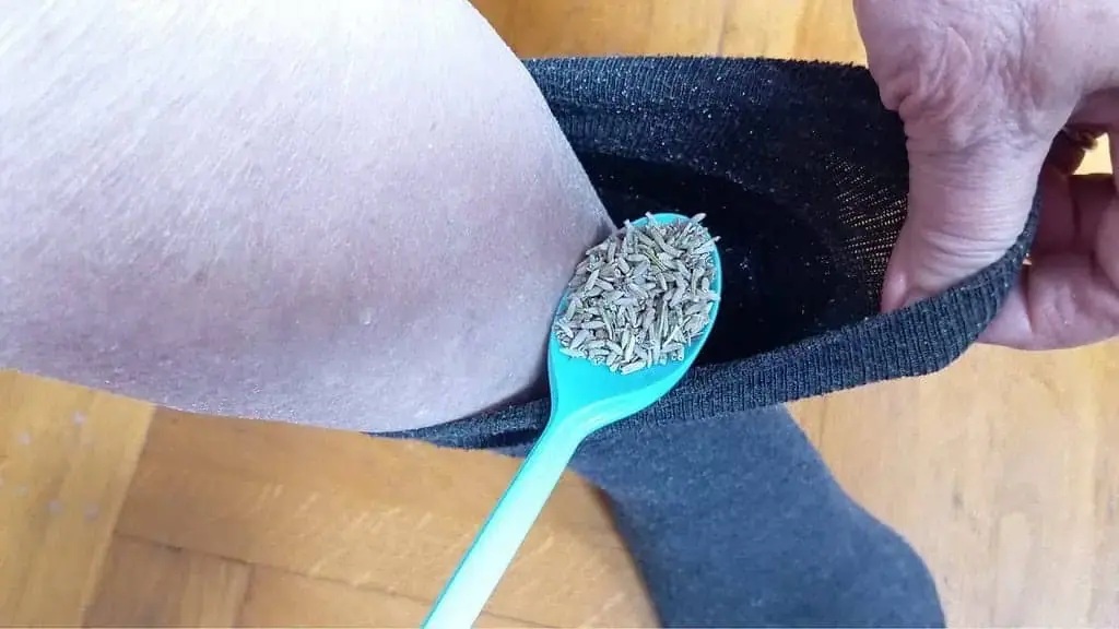 лавандула в чорапа