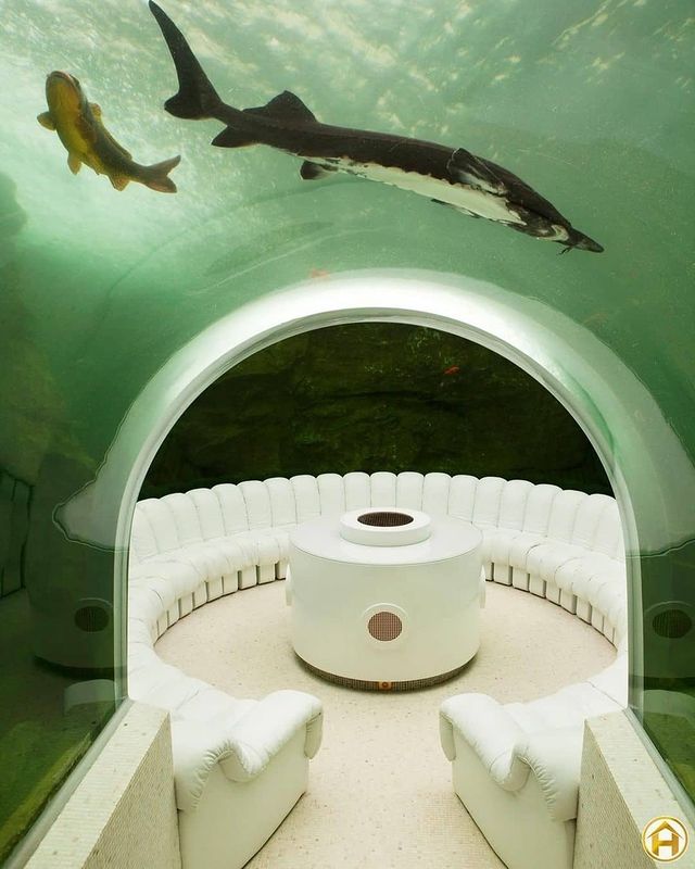 аквариум в най-скъпия дом