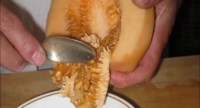 пъпешови семена