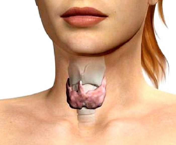 Традиционните методи за лечение на щитовидната жлеза