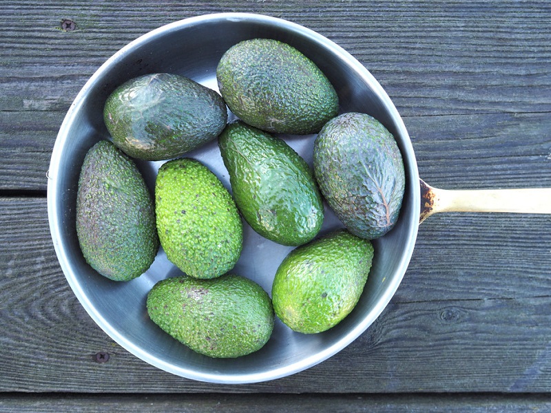 как да съхраняваме авокадото