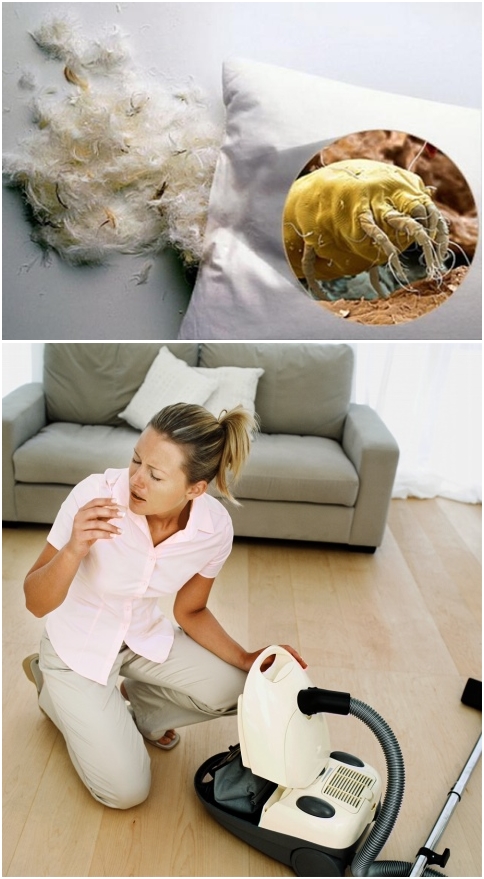 прахосмукачка зараза