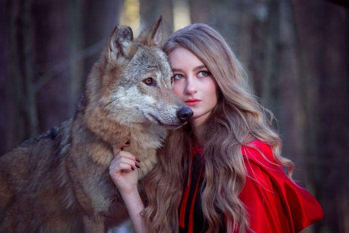 сънища животни