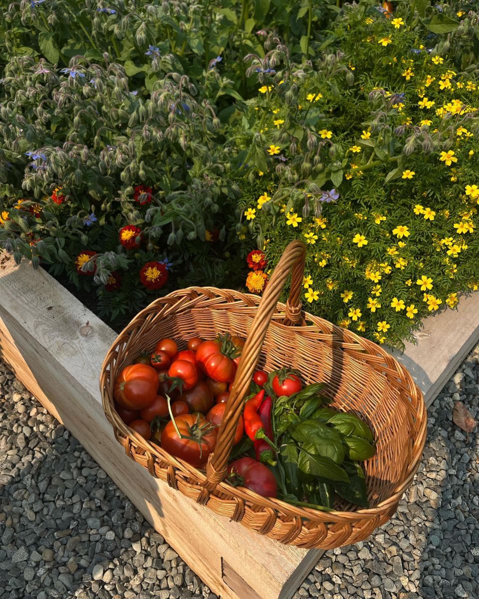  Памела годишна продукция 