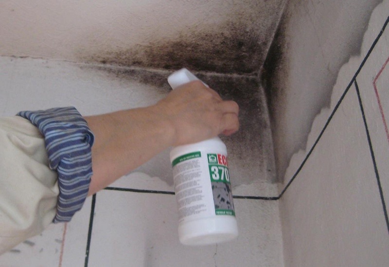 как да се отървем от мухъл по стените в къщата