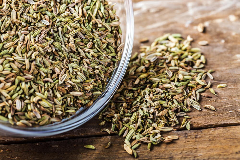 семена от копър