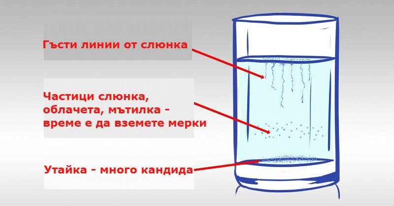 чаша вода тест кандидоза