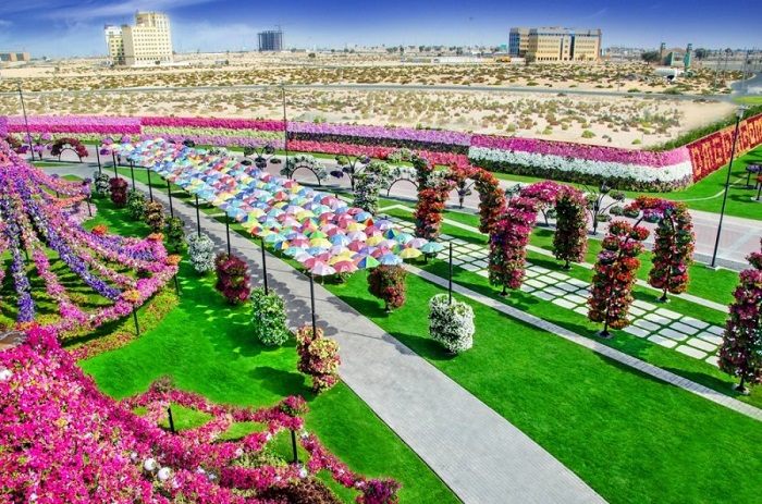 Парк на чудесата Дубай