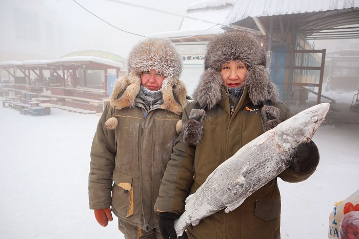 Якутск студове