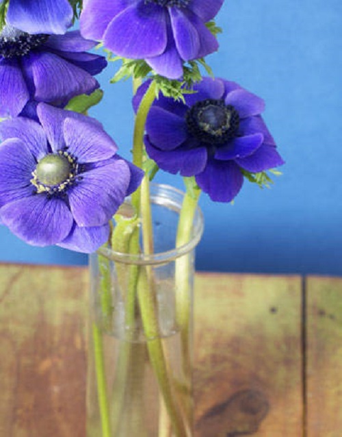 сини цветя