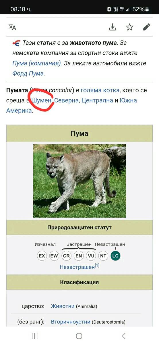 шега черна пантера