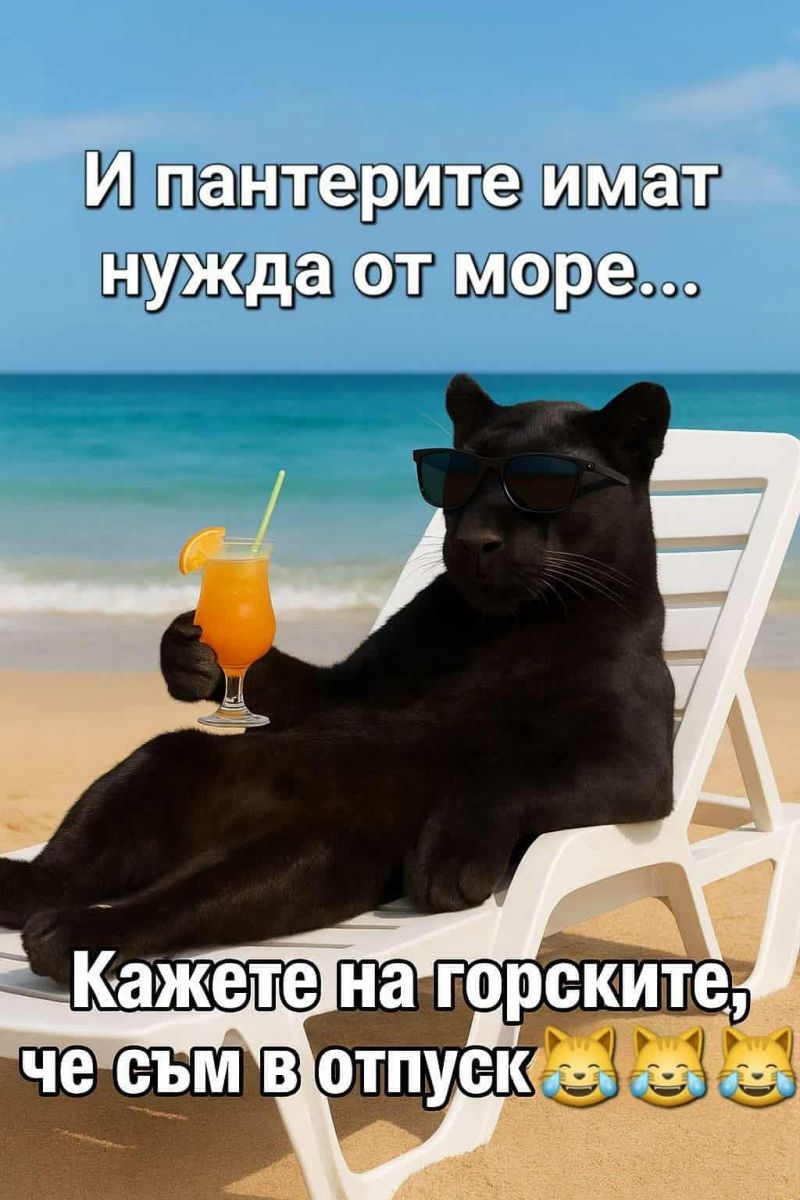 мемета с черната пума