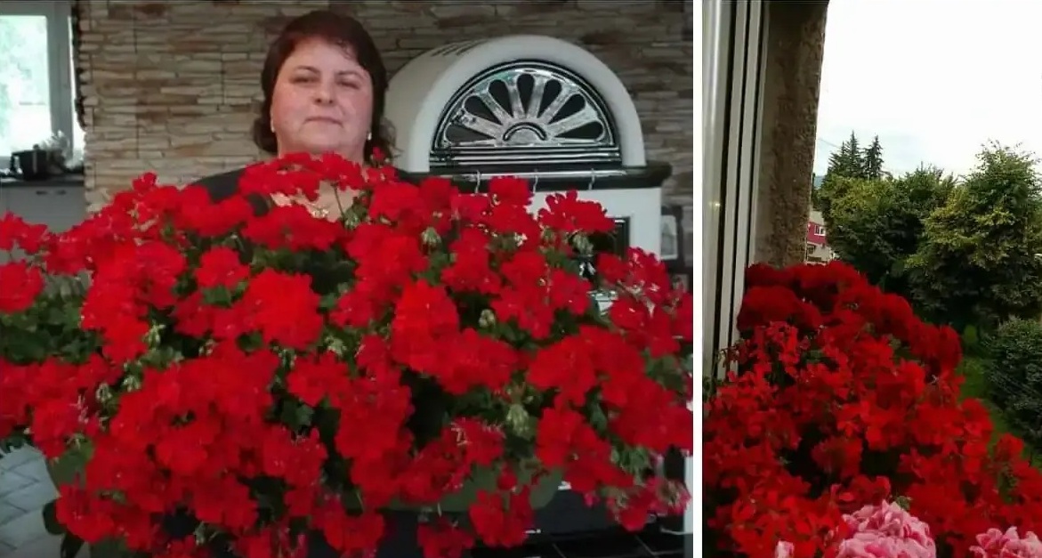 Моника мушката