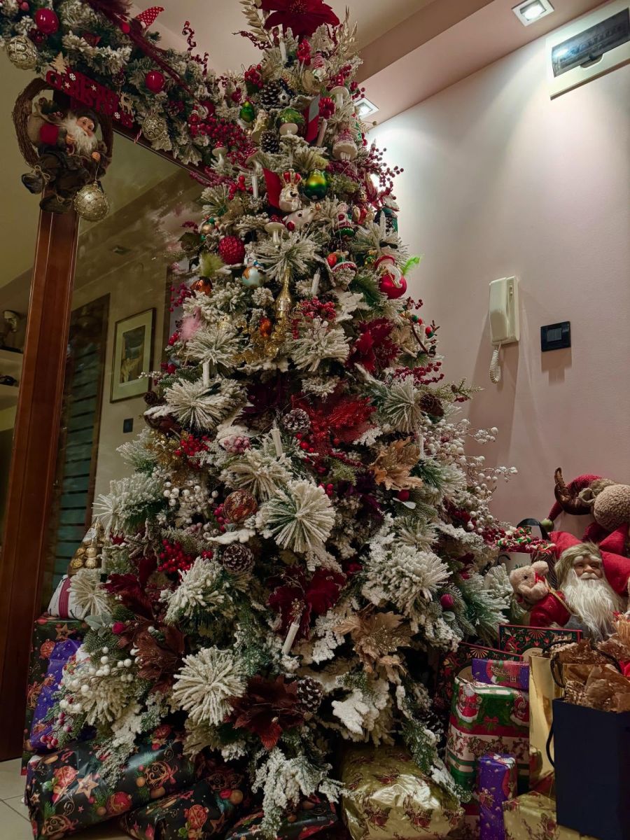 Камелия елха КОлева