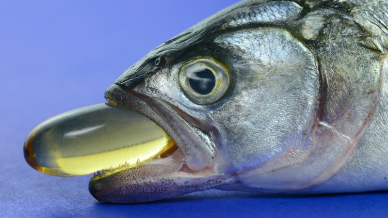 Полезните свойства на рибеното масло