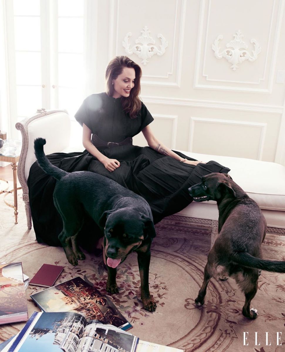 Джоли с кучета
