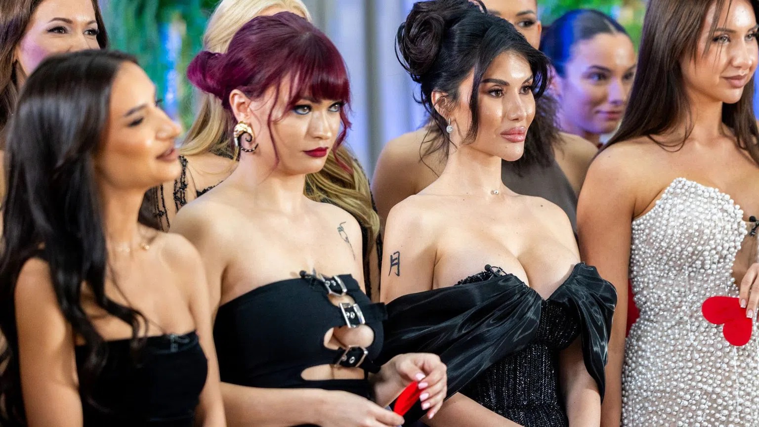 Яница Ергенът