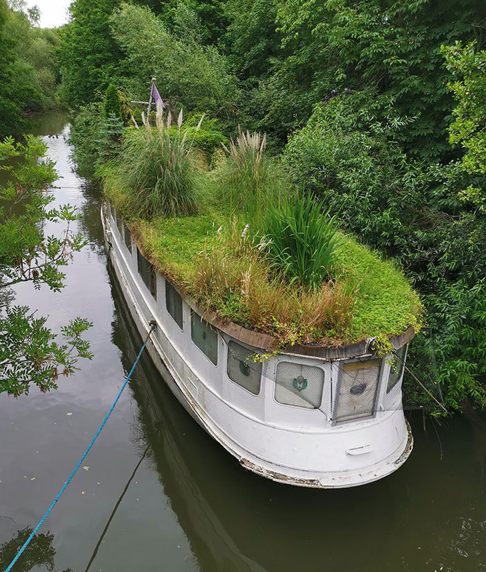 лодка обрасла със зеленина